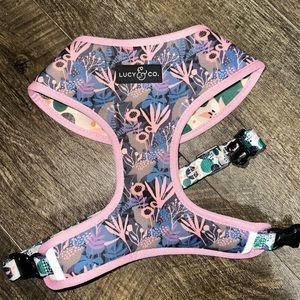 Lucy & Co harness